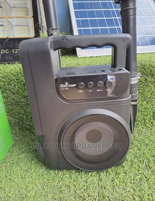 Solar Powered Music ,Phone Charging Lighting System.