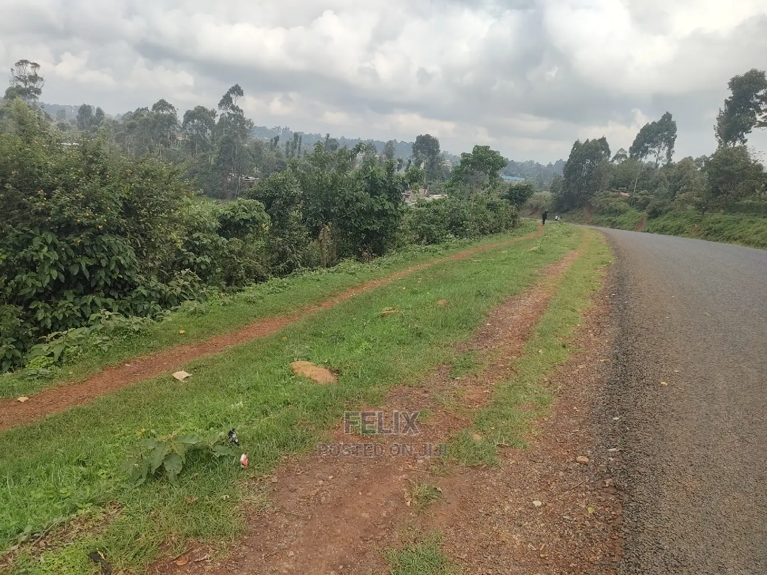 Karatina/Gatura Main Tarmac 50/100