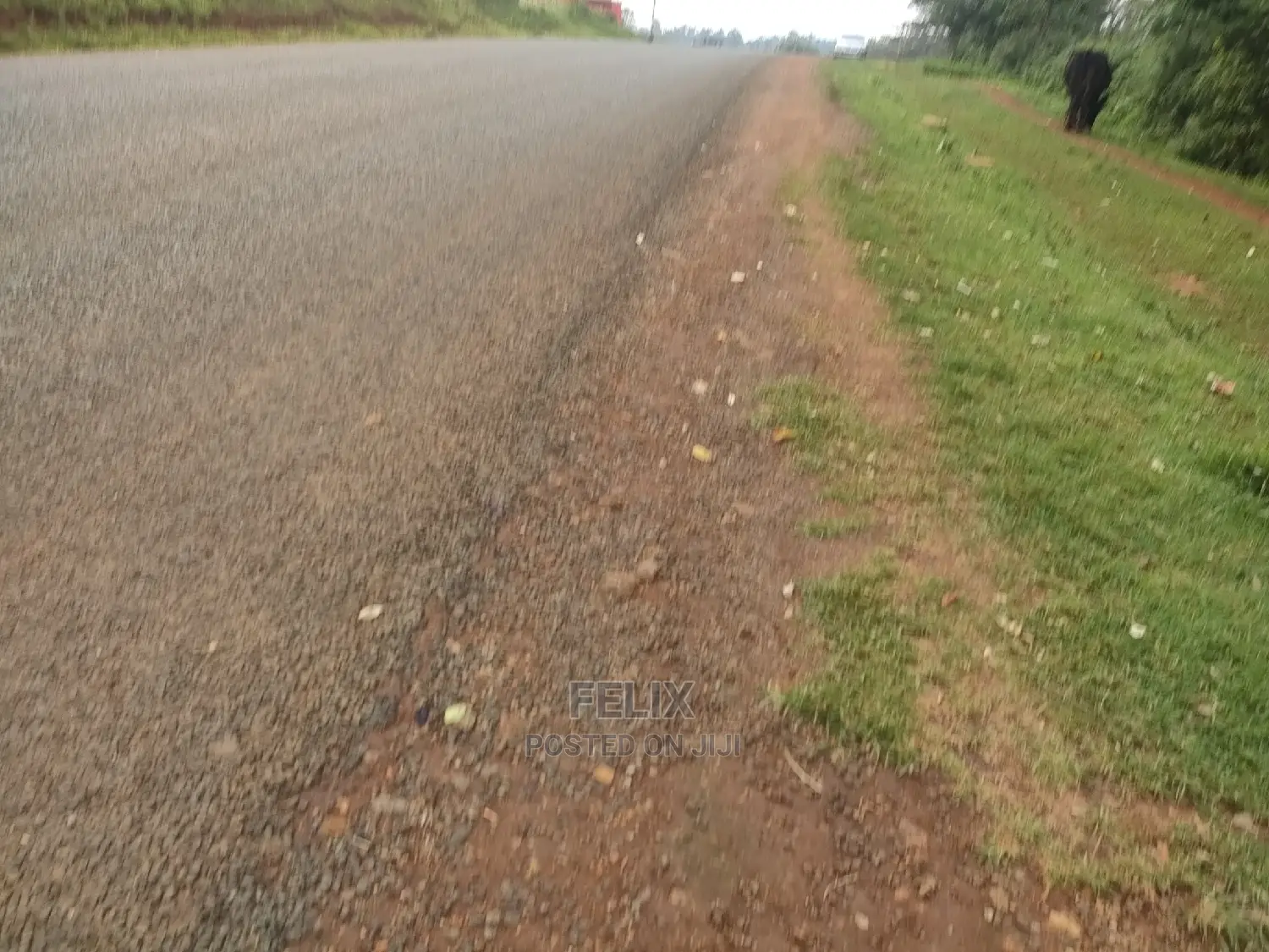 Karatina/Gatura Main Tarmac 50/100