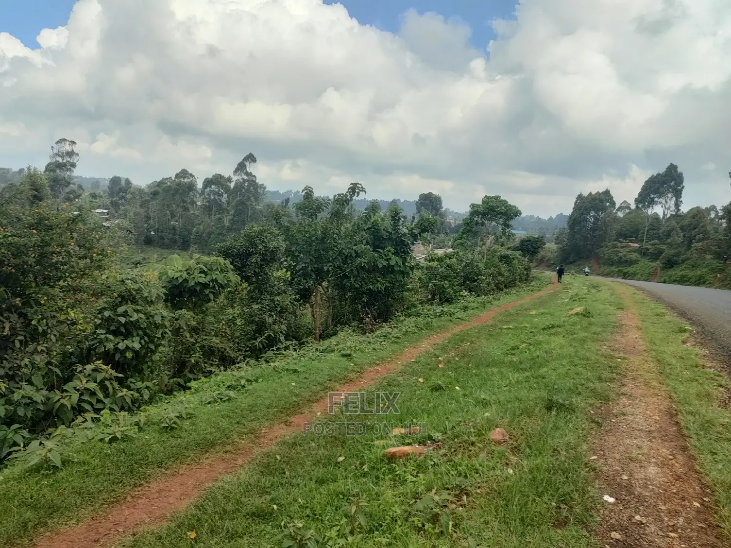 Karatina/Gatura Main Tarmac 50/100