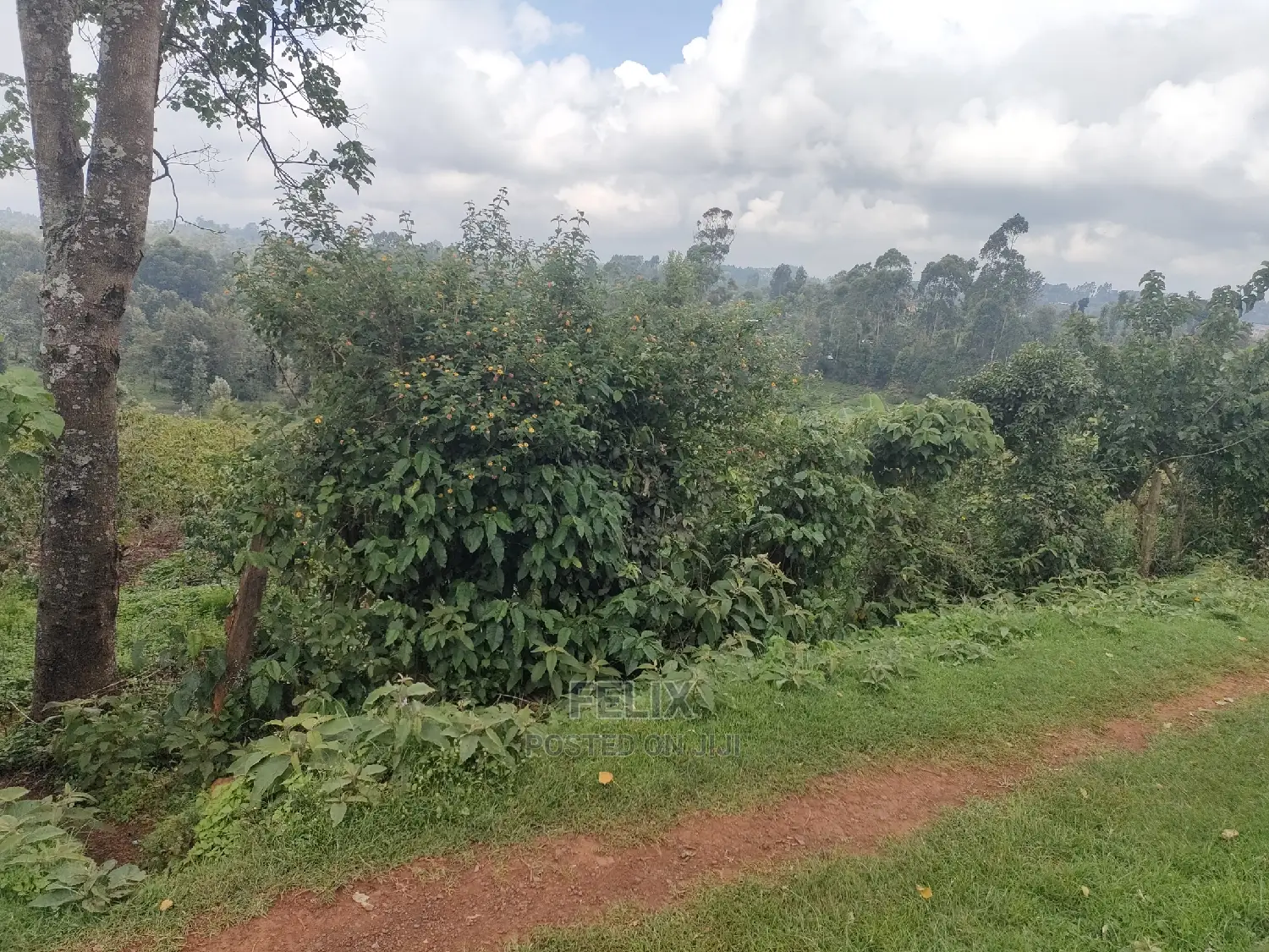 Karatina/Gatura Main Tarmac 50/100