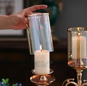 Nordic Golden Glass Hydroponic Vase