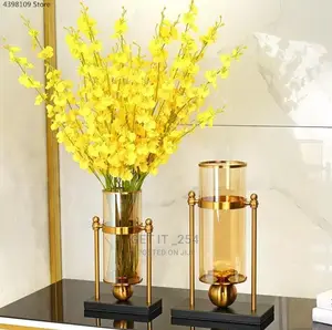 Nordic Golden Glass Hydroponic Vase