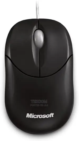 Microsoft Compact Optical Mouse 500