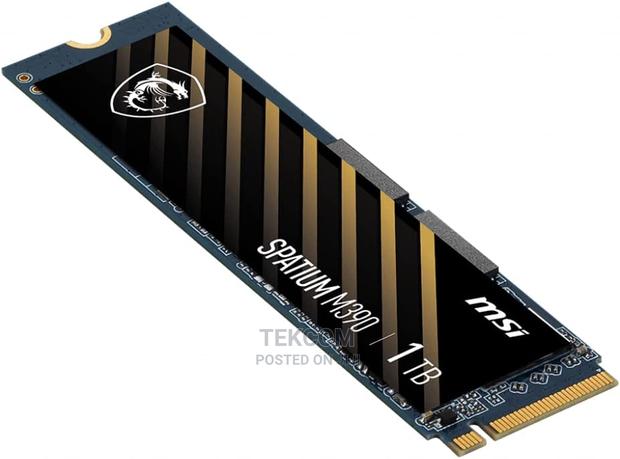 Msi Spatium M390 Nvme M.2 1tb Solid State Drive - main view