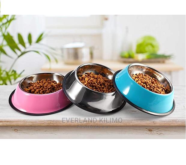 Pet Feeding Bowl Non Slip - main view