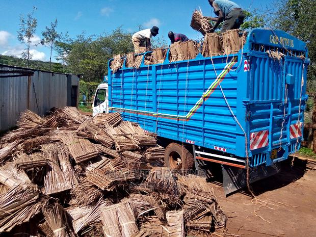 Makuti for Roofing Construction - thumbnail 5