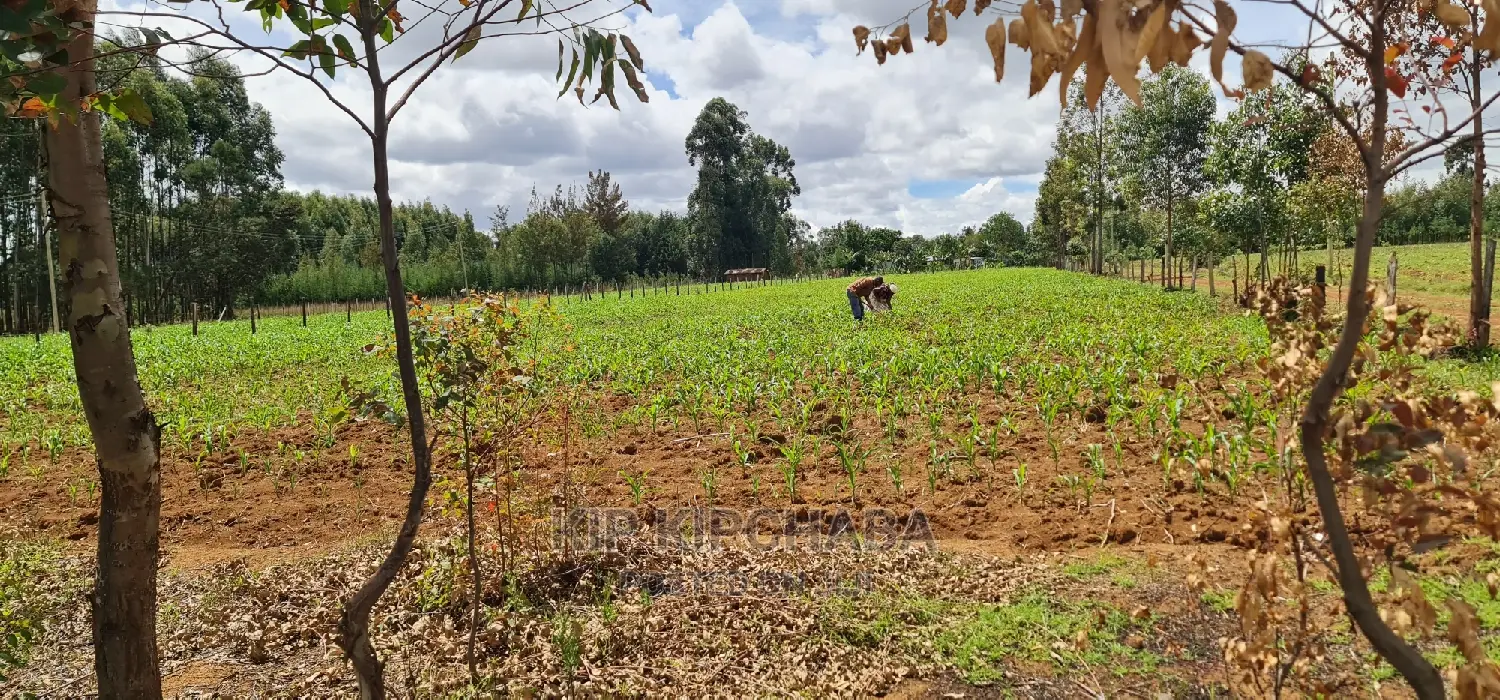 1⁄2 Acre Land for Sale in Outspan Eldoret