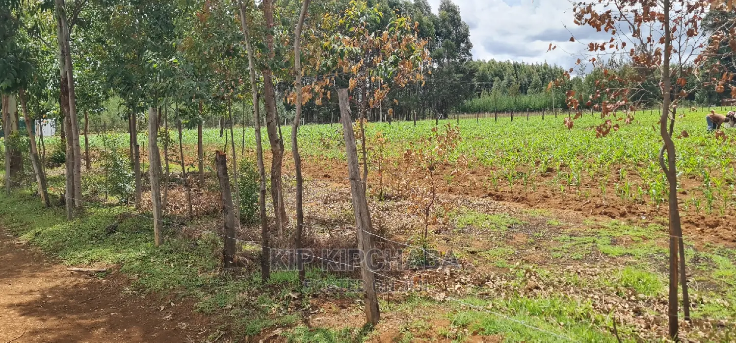 1⁄2 Acre Land for Sale in Outspan Eldoret
