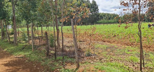 1⁄2 Acre Land for Sale in Outspan Eldoret - thumbnail 3