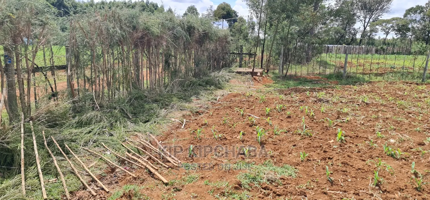 1⁄2 Acre Land for Sale in Outspan Eldoret