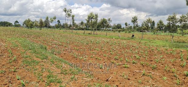 1⁄2 Acre Land for Sale in Outspan Eldoret - thumbnail 4