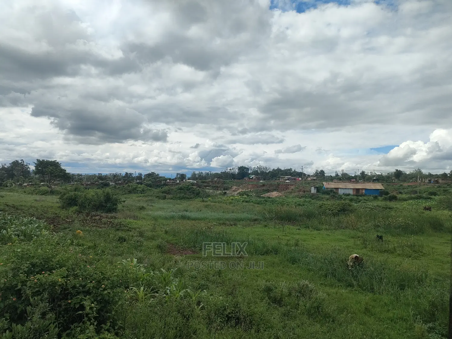 Sagana /Makutano Kwa Vee