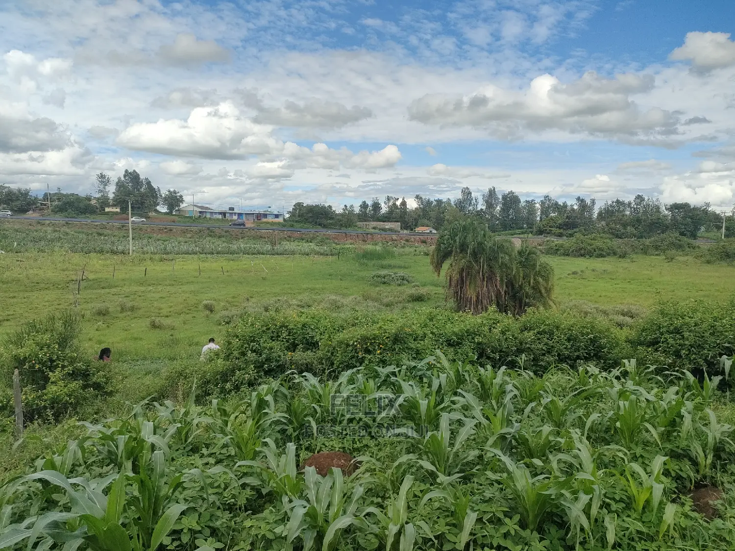 Sagana /Makutano Kwa Vee