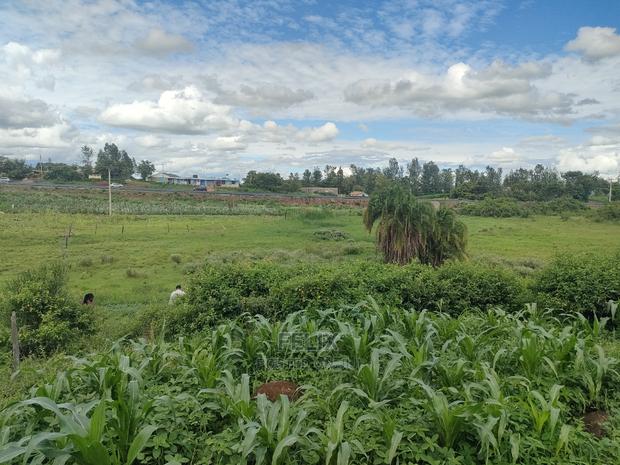 Sagana /Makutano Kwa Vee - thumbnail 20