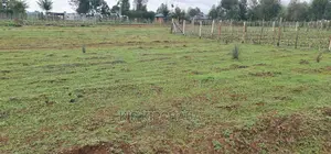 Prime Plot for Sale in Illula Eldoret