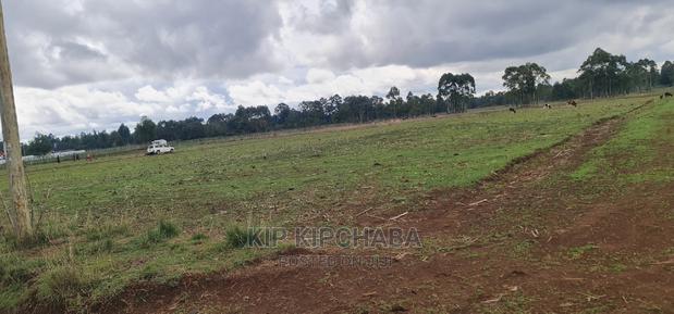 Prime Plot for Sale in Illula Eldoret - thumbnail 5