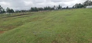 Prime Plot for Sale in Illula Eldoret