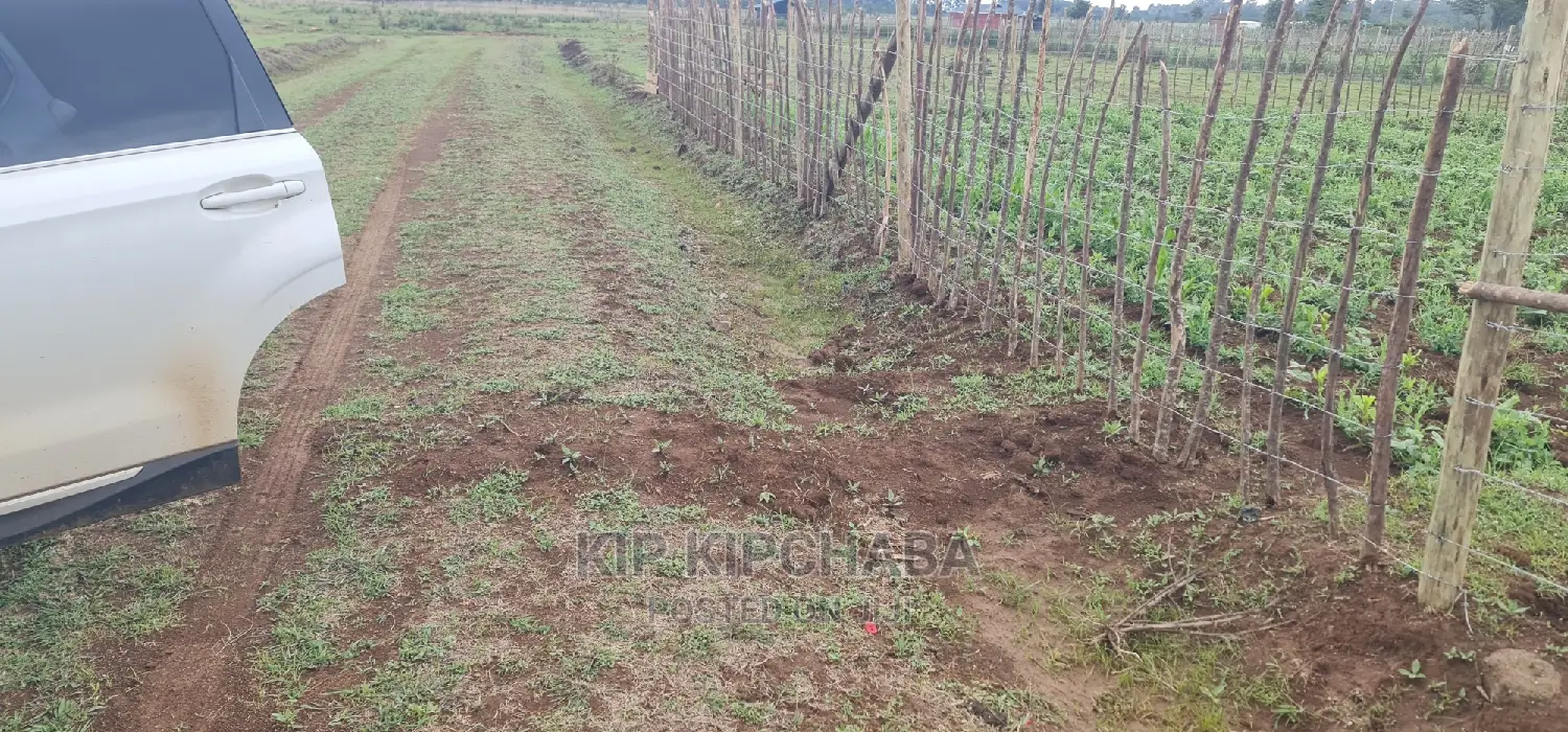 Prime Plot for Sale in Illula Eldoret