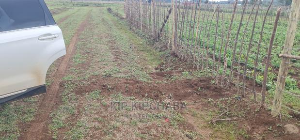 Prime Plot for Sale in Illula Eldoret - thumbnail 9