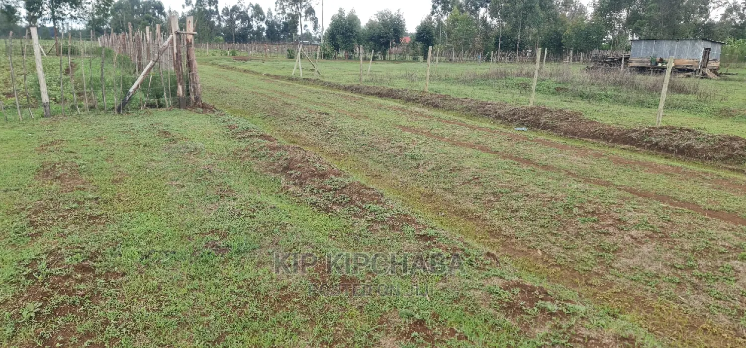 Prime Plot for Sale in Illula Eldoret