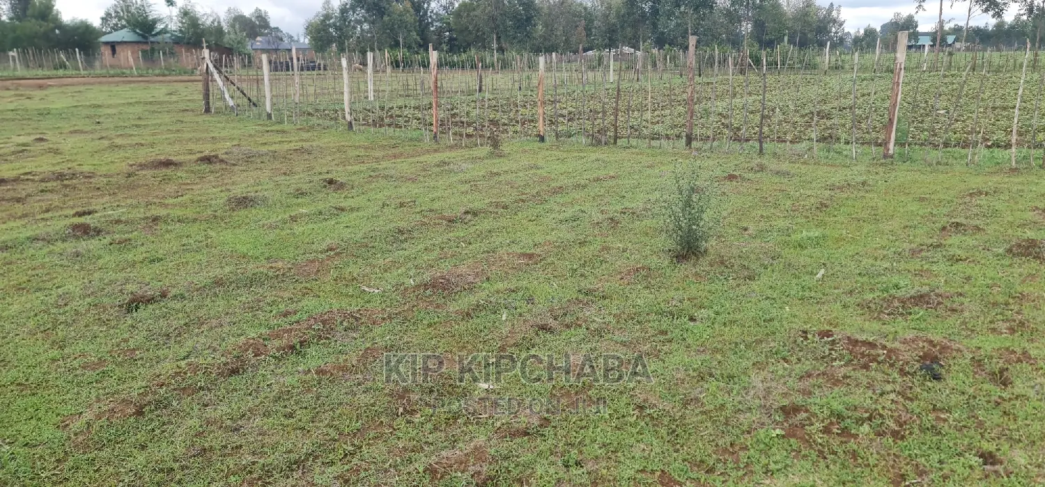 Prime Plot for Sale in Illula Eldoret