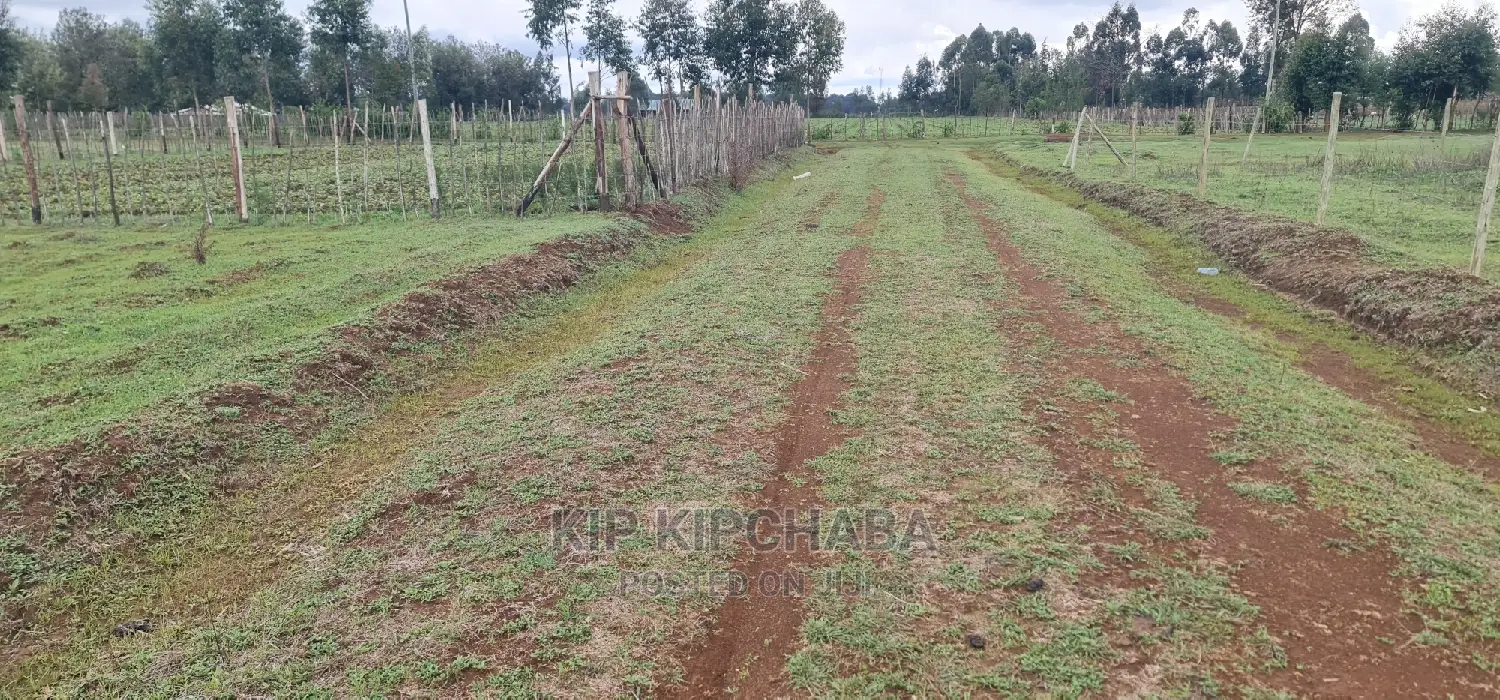 Prime Plot for Sale in Illula Eldoret