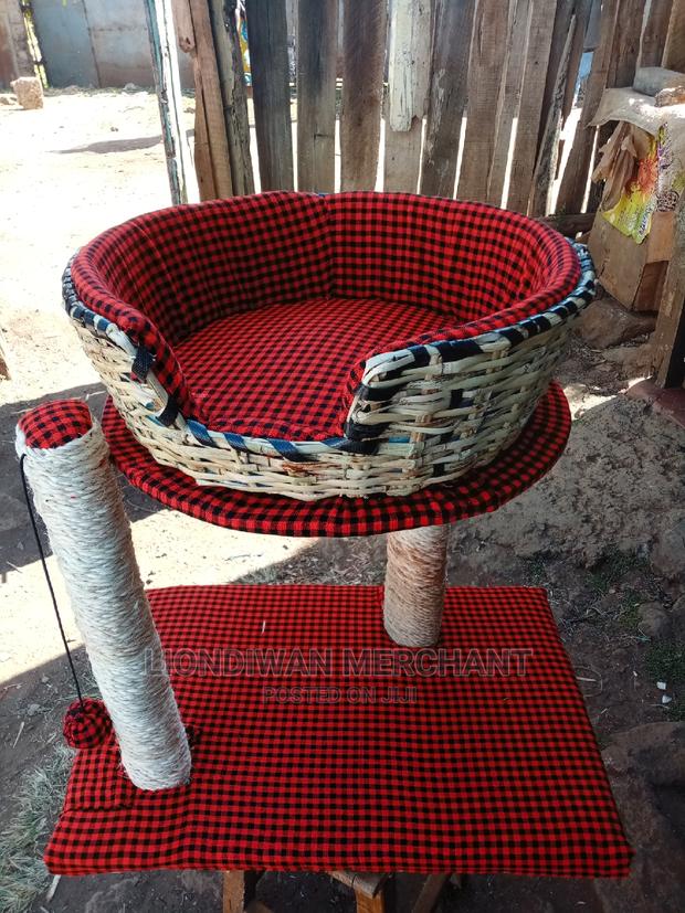 Cats Scratching Pole - thumbnail 3