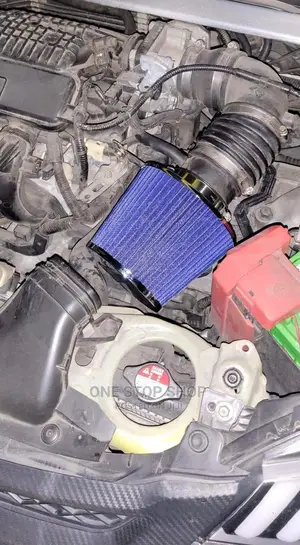 Adjustable Fit Blue Air Filter