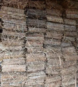 Traditional Makuti Roofing Construction