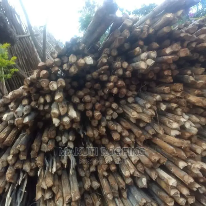 Makuti and Makonge for Sale