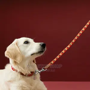 New Dog Leash