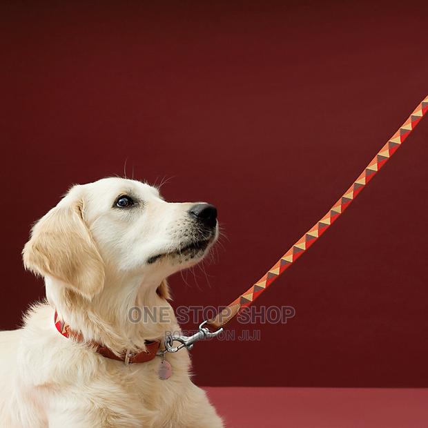 New Dog Leash - main view