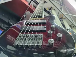 6 String Passive Bass Guitar