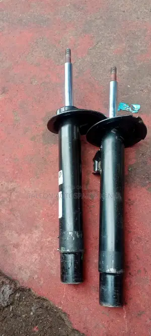 Ex German E46 Shocks