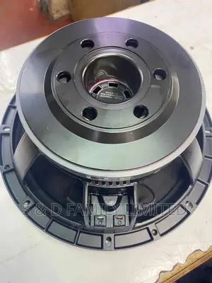 12 Inch Midrange Speaker Derwel