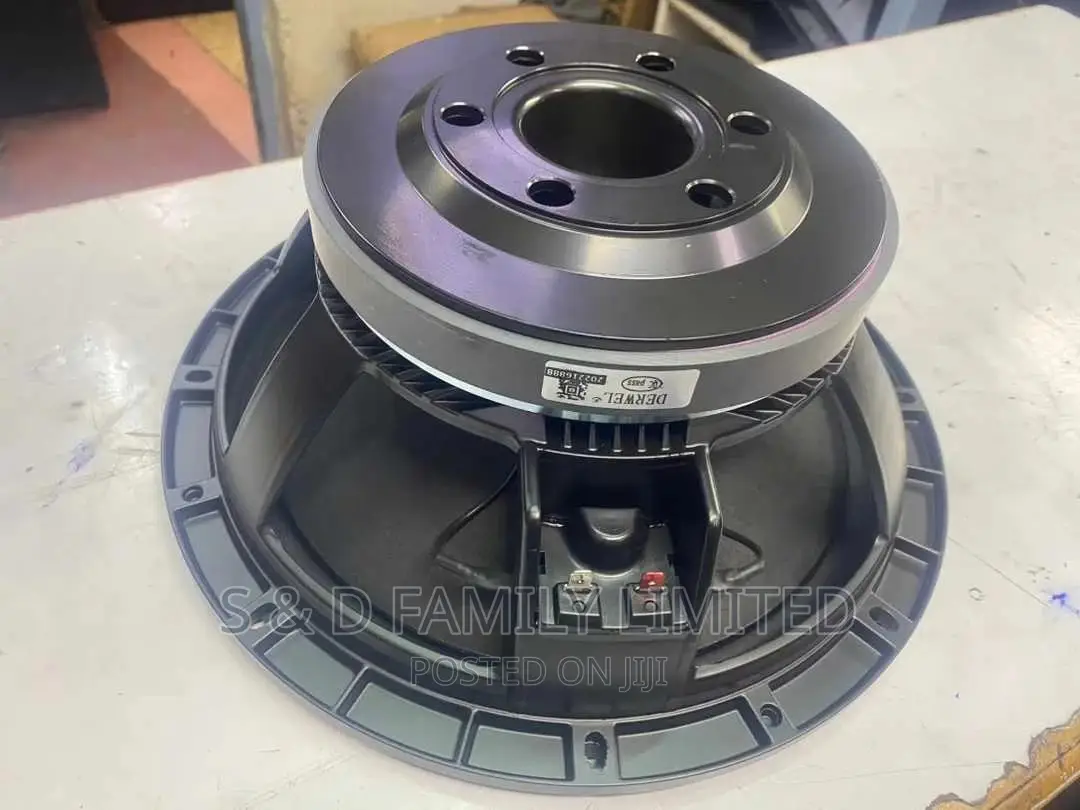 12 Inch Midrange Speaker Derwel