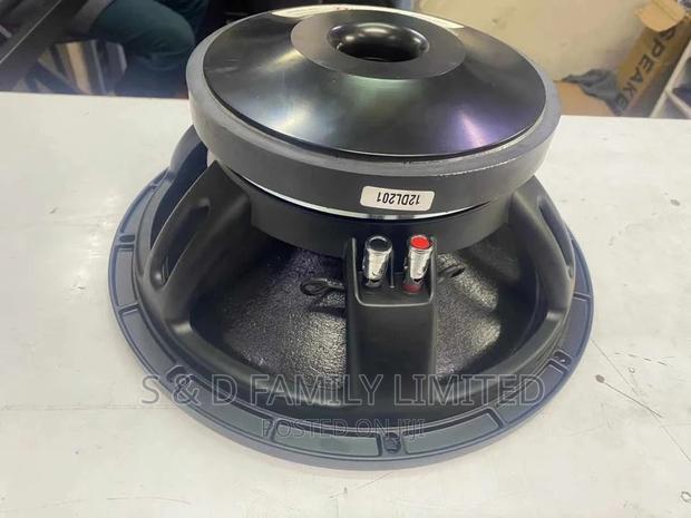 Derwel 12 Inch Naked Speaker 12DL201