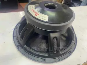 Derwel 12 Inch Naked Speaker 12DL201