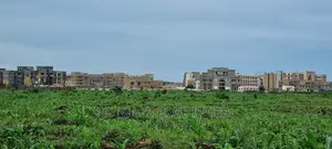 Vipingo Utalii Campus,Prime 5 Acres Land on Sale.