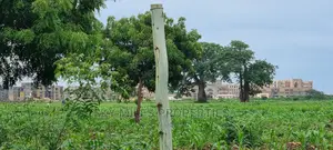 Vipingo Utalii Campus,Prime 5 Acres Land on Sale.