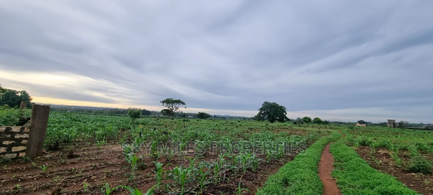 Vipingo Utalii Campus,Prime 5 Acres Land on Sale.
