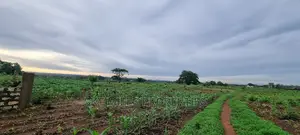 Vipingo Utalii Campus,Prime 5 Acres Land on Sale.