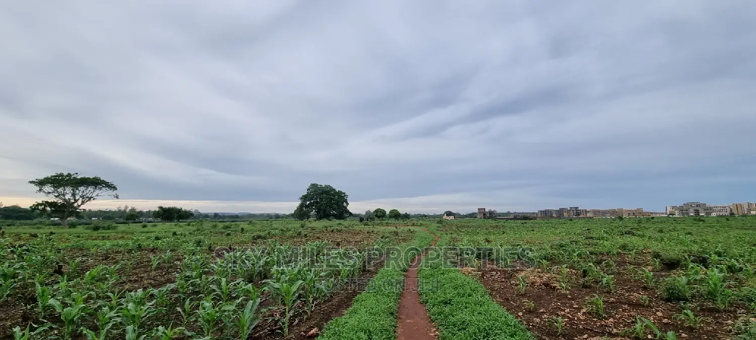 Vipingo Utalii Campus,Prime 5 Acres Land on Sale.
