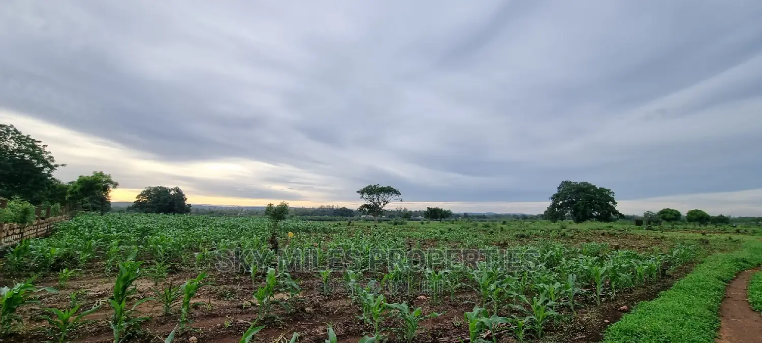Vipingo Utalii Campus,Prime 5 Acres Land on Sale.