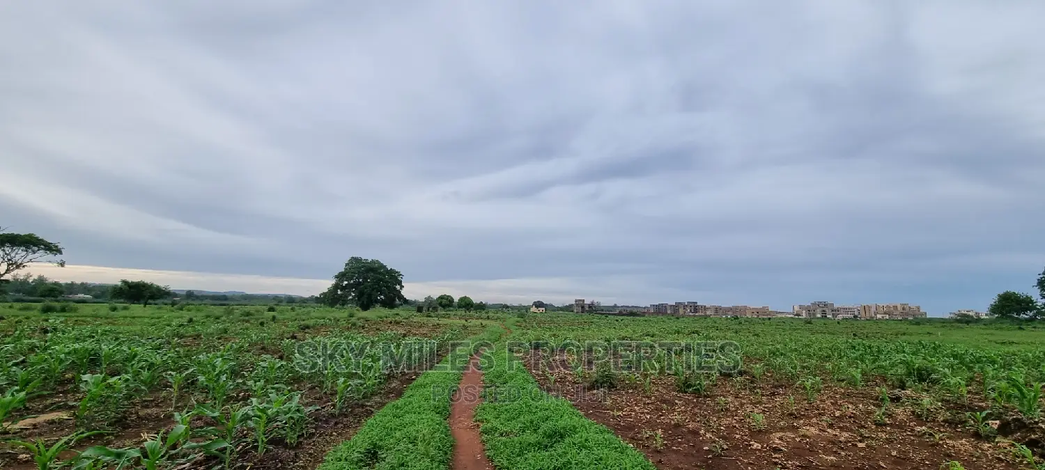 Vipingo Utalii Campus,Prime 5 Acres Land on Sale.