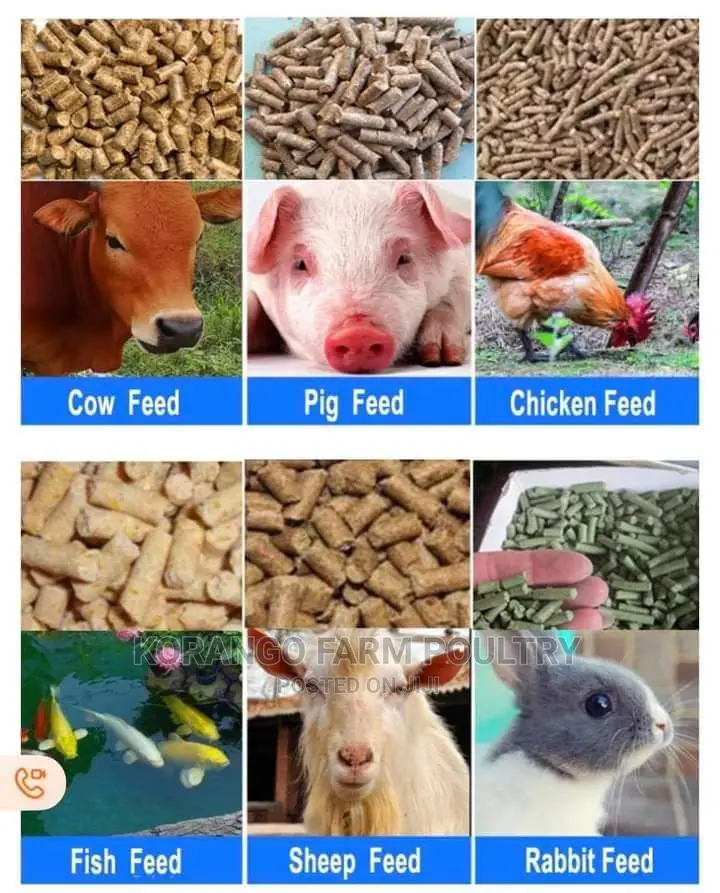 Animal Feed Pellet Machine