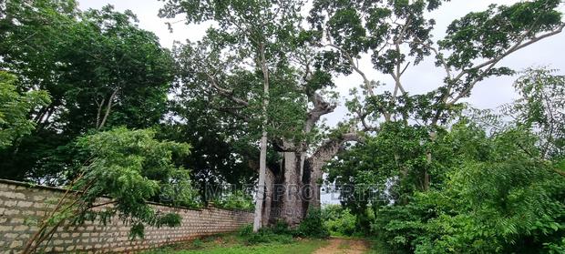 Kuruwitu Vipingo,10 Acre on Sale - main view