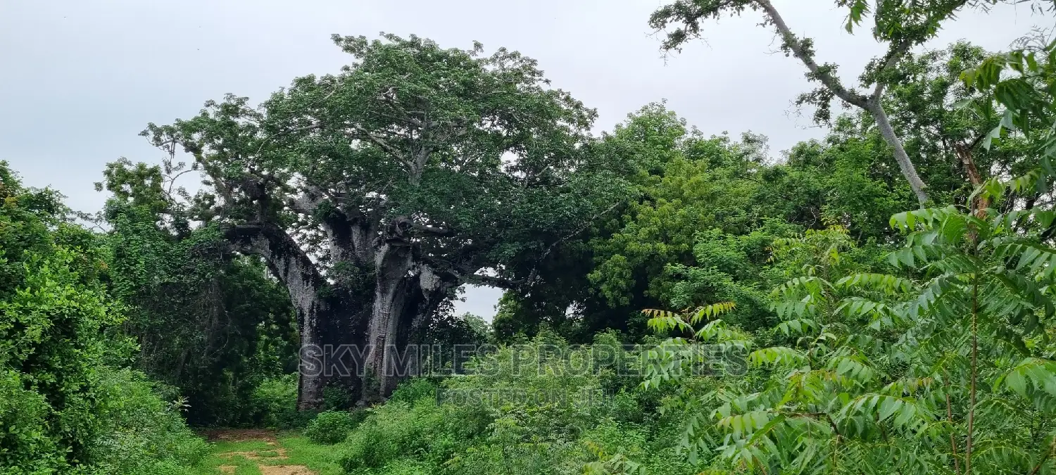 Kuruwitu Vipingo,10 Acre on Sale