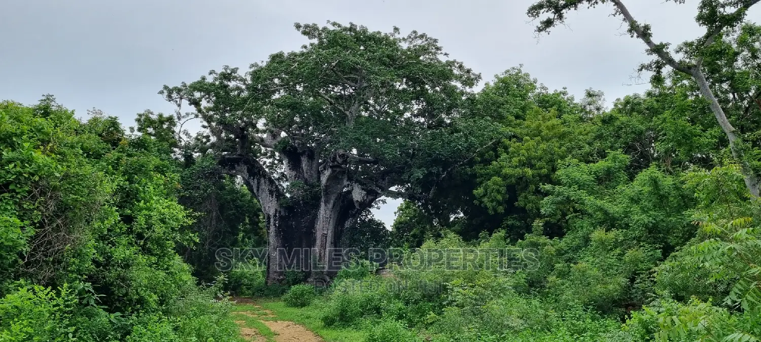 Kuruwitu Vipingo,10 Acre on Sale
